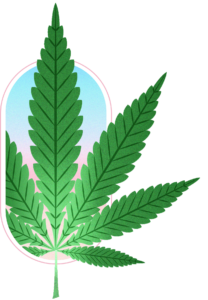 Leaf anim – Homepage@2x